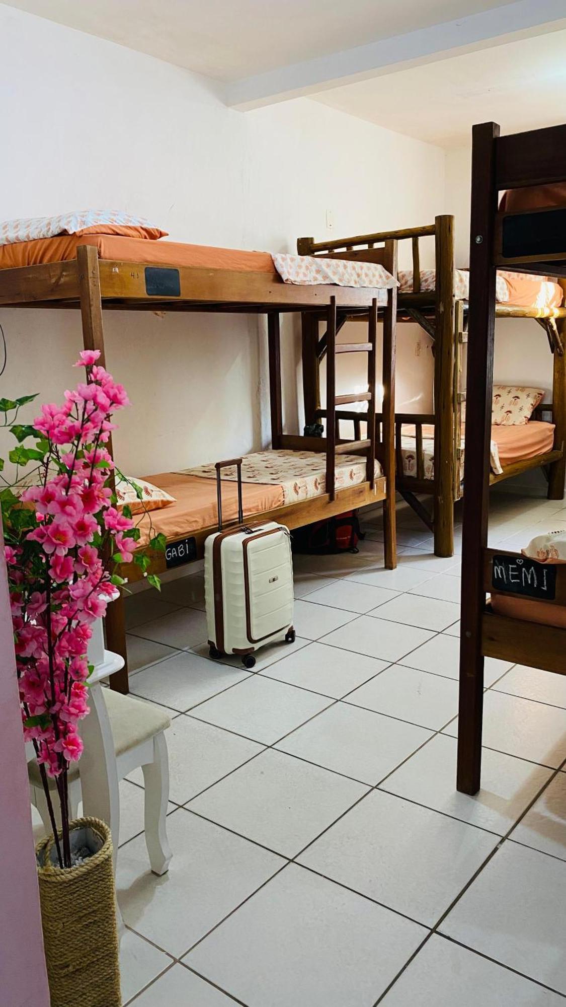 Florianópolis Pequi Hostel מראה חיצוני תמונה