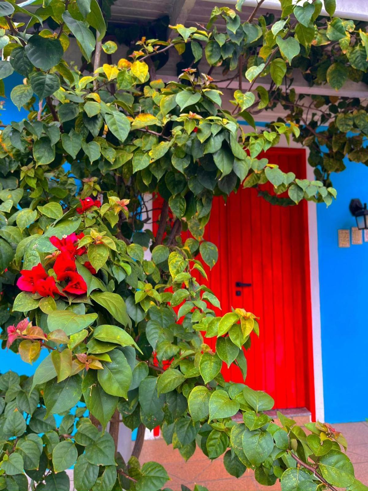Florianópolis Pequi Hostel מראה חיצוני תמונה