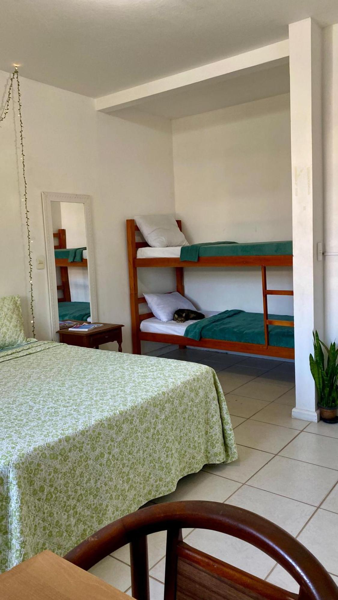 Florianópolis Pequi Hostel מראה חיצוני תמונה